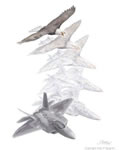 "Metamorphosis VII: Dominant Raptor" - Jody F. Sjogren - F-22 Raptor Art